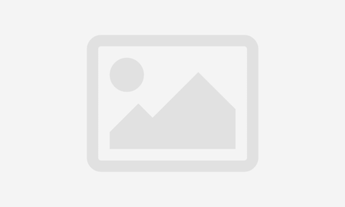 Essential Cooking Skills